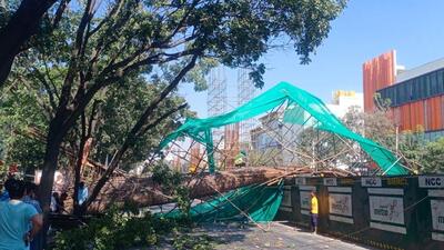 The column weighing several tonnes that fell about 40 feet along the busy road in HBR Layout at 10:45am. (HT image) The column weighing several tonnes that fell about 40 feet along the busy road in HBR Layout at 10:45am. (HT image)