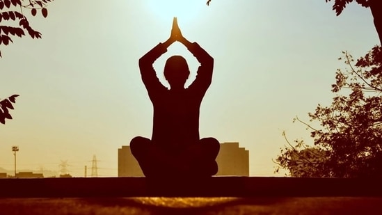 Let's read why silence is crucial for meditation.(HT File)