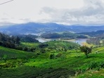 Exploring Ooty and the scenic beauty: A guide(Unsplash) Exploring Ooty and the scenic beauty: A guide(Unsplash)