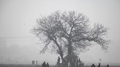 Light drizzle added to the biting cold conditions in Ludhiana, with the minimum temperature plunging to 9 degrees Celsius. (HT PHOTO)