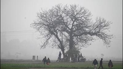 Light drizzle added to the biting cold conditions in Ludhiana, with the minimum temperature plunging to 9 degrees Celsius. (HT PHOTO)