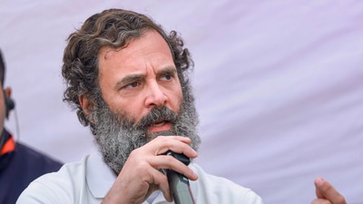 Congress leader Rahul Gandhi (PTI) Congress leader Rahul Gandhi (PTI)