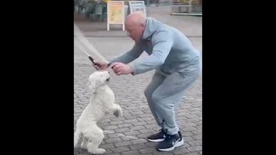 Dog doing skips on its hind legs with its owner to set the Guinness World Record. (Instagram/@guinnessworldrecords) Dog doing skips on its hind legs with its owner to set the Guinness World Record. (Instagram/@guinnessworldrecords)