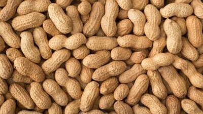 Peanuts are also a popular snack and are served roasted or boiled. (Unsplash) Peanuts are also a popular snack and are served roasted or boiled. (Unsplash)