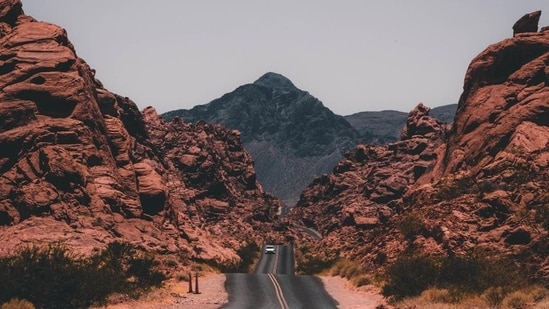 When in the US, take a road trip: Here's a guide(Unsplash)