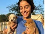 Ananya Panday with cute puppies. Ananya Panday with cute puppies.