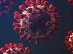What we know about ‘Kraken’ Covid Variant XBB.1.5; why it's causing concern What we know about ‘Kraken’ Covid Variant XBB.1.5; why it's causing concern