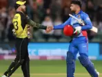 Matthew Wade (L) with Rashid Khan Matthew Wade (L) with Rashid Khan