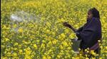For representational purposes only. (Reuters File Photo) For representational purposes only. (Reuters File Photo)