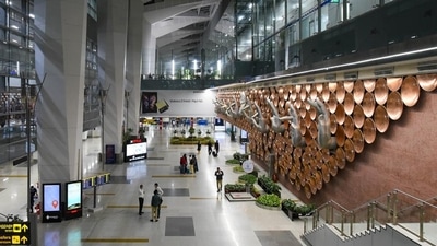 Three incidents of urination either on flight or at the airport have been reported so far. Three incidents of urination either on flight or at the airport have been reported so far.