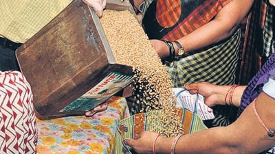 Ladakh administration has decided to provide fortified wheat to them beginning April. (HT File) Ladakh administration has decided to provide fortified wheat to them beginning April. (HT File)