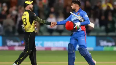 Matthew Wade (L) with Rashid Khan (AP) Matthew Wade (L) with Rashid Khan (AP)