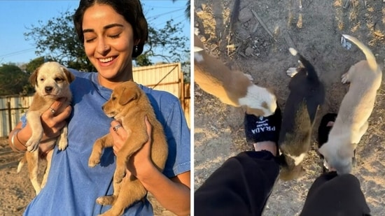 Ananya Panday with cute puppies. 