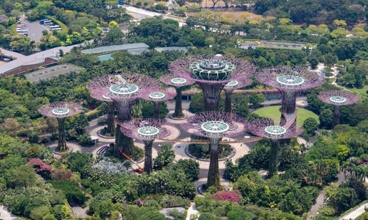 Gardens by the Bay is an iconic landmark in Singapore that is worth visiting. (Photo by Nick Fewings on Unsplash)