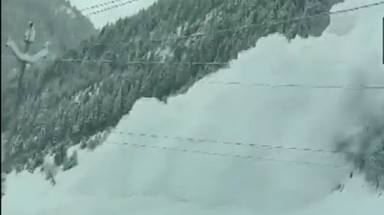  In Jammu and Kashmir, snow lashed down the hills, causing an avalanche in Sonamarg area of Ganderbal district.(ANI)