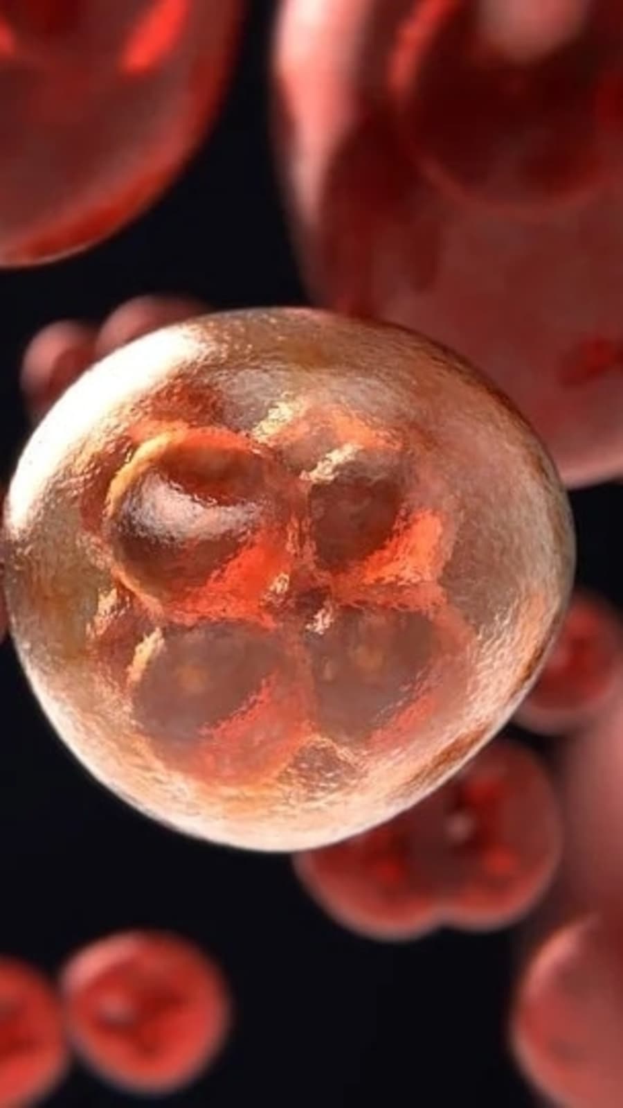 Inflammation levels are linked to severity of blood cancer: Study (Pixabay)