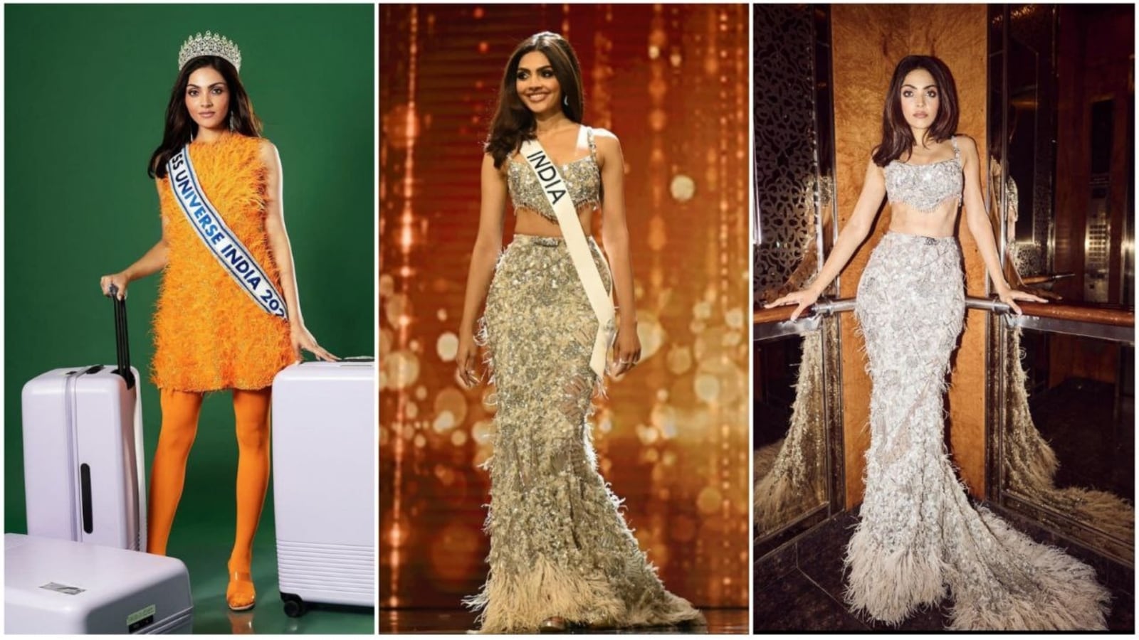 Miss Universe 2024 India Contest Updates Shea Willie