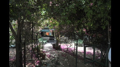 Council of Engineers had filed a petition against the alleged conversion of green belts into parking spaces by Lodhi Club, Sacred Heart Senior Secondary School, BRS Nagar, and the Ludhiana municipal corporation.