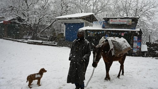 The famous ski-resort of Gulmarg recorded about eight inches of snowfall, followed by 14 inches in Pahalgam and about 2.5-3 feet in Sonamarg (in the last 24 hours).(Waseem Andrabi/HT photo)