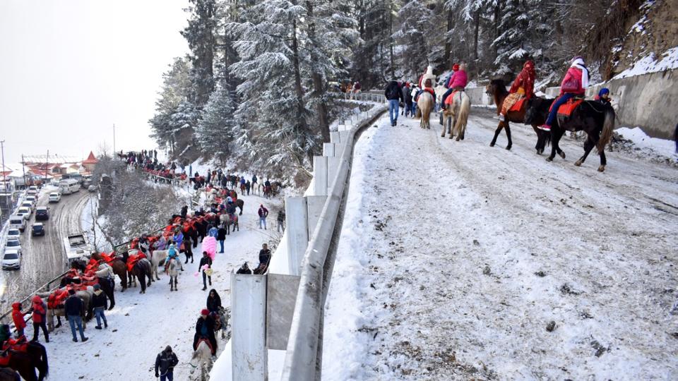 Tourists taking pony rides in Kufri near Shimla on Friday. (Deepak Sansta/HT) Tourists taking pony rides in Kufri near Shimla on Friday. (Deepak Sansta/HT)