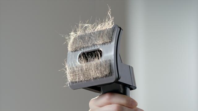 This innovative and effective pet groom tool solves the problem of loose pet hair, allergens, pet dander and microscopic skin scales from both your fur babies and surroundings. (Pet grooming kit by Dyson) This innovative and effective pet groom tool solves the problem of loose pet hair, allergens, pet dander and microscopic skin scales from both your fur babies and surroundings. (Pet grooming kit by Dyson)