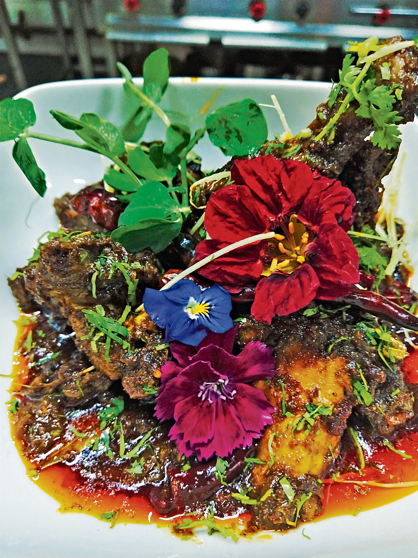 Murg Gulshan Murg Gulshan