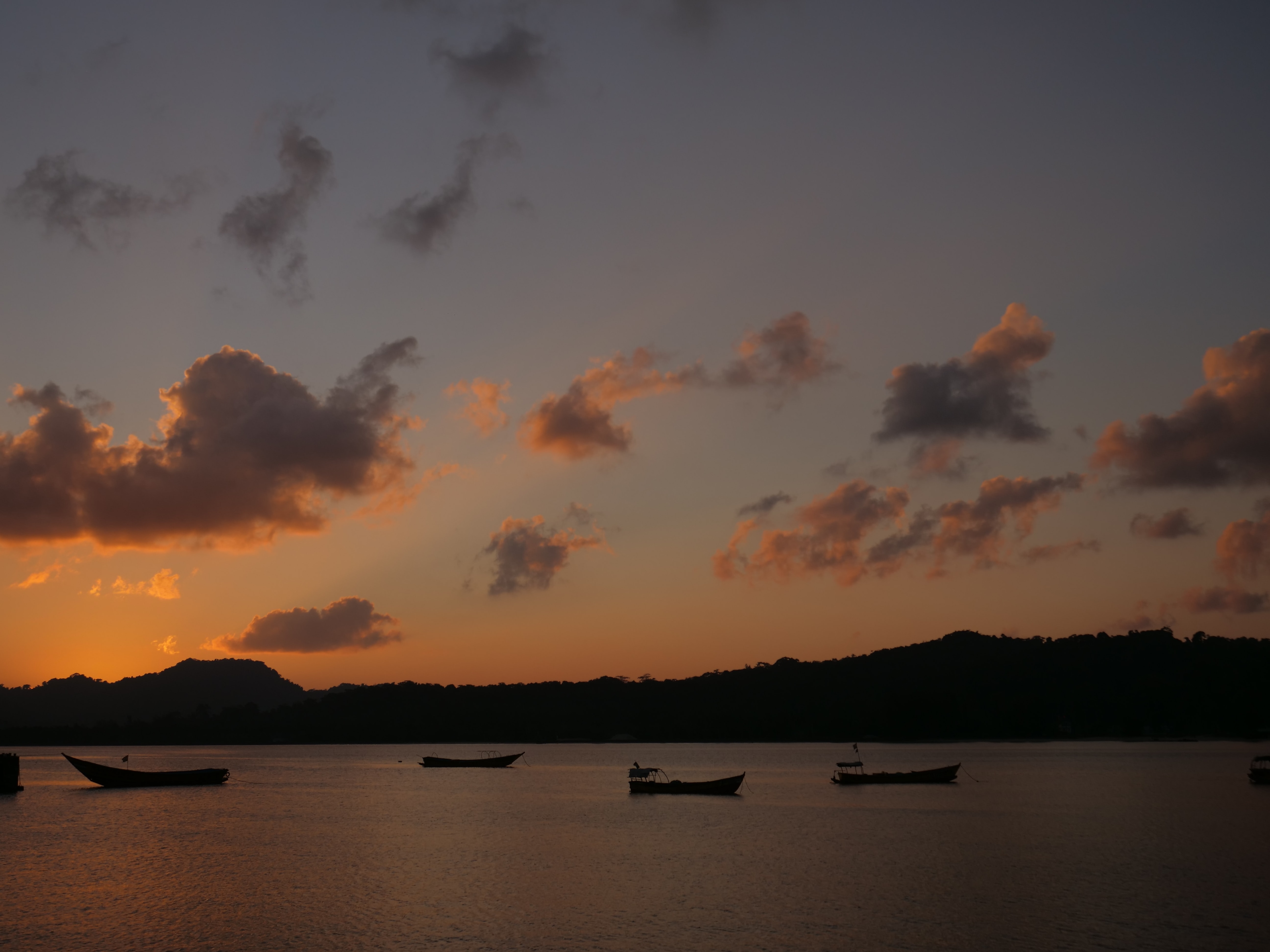 Havelock Islands is a perfect destination for a budget friendly bachelorette getaway(Unsplash)