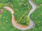 An Insider's Guide to the Best Restaurants in Ooty An Insider's Guide to the Best Restaurants in Ooty