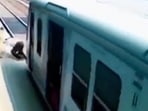 A screengrab of video shared by IAS officer Awanish Sharan A screengrab of video shared by IAS officer Awanish Sharan