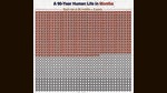 ‘I turned 50 a few weeks ago. Assum-ing I will live to about 75, I’ve lived over two-thirds of my life,’ says Assisi. Above is this ratio represented on the time-life grid created by Tim Urban. ‘I turned 50 a few weeks ago. Assum-ing I will live to about 75, I’ve lived over two-thirds of my life,’ says Assisi. Above is this ratio represented on the time-life grid created by Tim Urban.