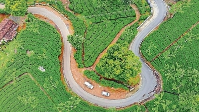 An Insider's Guide to the Best Restaurants in Ooty An Insider's Guide to the Best Restaurants in Ooty