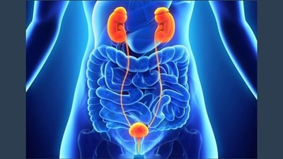 Prostate cancerProstate cancer: Early detection signs and prevention tips (Twitter/CarverJohns) Prostate cancerProstate cancer: Early detection signs and prevention tips (Twitter/CarverJohns)