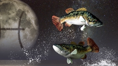 Pisces Weekly Horoscope for January 15 to 21, 2023: Expect a prosperous financial future for yourself.