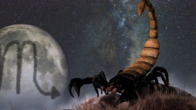 Scorpio Weekly Horoscope for January 15-21, 2023: Fix your mistakes and regain their trust to get back together with a former lover.