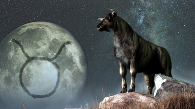 Taurus Weekly Horoscope for January 15-21, 2023 The week could be rather mild for Taureans. (shutterstock)