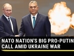 NATO NATION'S BIG PRO-PUTIN CALL AMID UKRAINE WAR