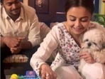 Devoleena Bhattacharjee reacted angrily after Instagram users trolled her for wasting cake on her dog's birthday. Devoleena Bhattacharjee reacted angrily after Instagram users trolled her for wasting cake on her dog's birthday.