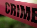 The police said 3 pistols and 22 live cartridges were also recovered from the 2 men, who were planning terror strikes. The police said 3 pistols and 22 live cartridges were also recovered from the 2 men, who were planning terror strikes.