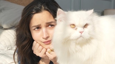 Alia Bhatt with her pet cat Edward in new photos.