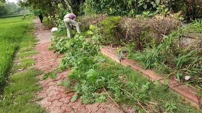 Subabul is removed from a park in Defence Colony in New Delhi. Subabul, the third tree flagged in the list, also comes from Mexico and was introduced by the forest department for fuel and fodder, but it has grown too rapidly, expanding well beyond where it was initially planted. (HT Photo) Subabul is removed from a park in Defence Colony in New Delhi. Subabul, the third tree flagged in the list, also comes from Mexico and was introduced by the forest department for fuel and fodder, but it has grown too rapidly, expanding well beyond where it was initially planted. (HT Photo)