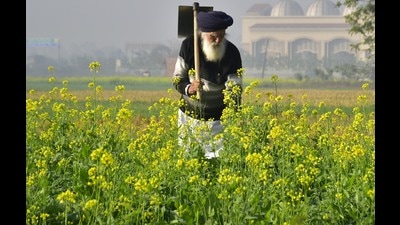 The state government has set a deadline to adopt the scheme from kharif (wheat) sowing of 2024 which takes place in the month of June-July. (HT file photo) The state government has set a deadline to adopt the scheme from kharif (wheat) sowing of 2024 which takes place in the month of June-July. (HT file photo)