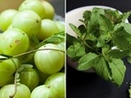 7 foods to consume in winter to avoid cold and cough 7 foods to consume in winter to avoid cold and cough