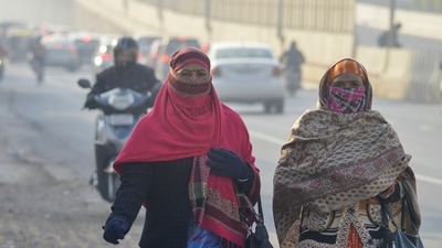 As per the weather agency, cold to severe cold wave conditions are very likely over many parts of Rajasthan, Punjab, Haryana, Chandigarh, and Delhi till Tuesday and thereafter in isolated pockets on Wednesday. (PTI)