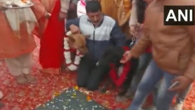 The image, taken from a Twitter video, shows people dancing at the wedding of two dogs in UP’s Aligarh. (Twitter/@ANINewsUP)