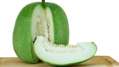 Ash gourd is rich in polyphenols, flavonoids, and anthocyanins. For this reason, it is known as a functional food that has the potential to fight cell damage caused by free radicals. Antioxidants play a protective role in our bodies by fighting free radical compounds that can cause serious harm (Pinterest) Ash gourd is rich in polyphenols, flavonoids, and anthocyanins. For this reason, it is known as a functional food that has the potential to fight cell damage caused by free radicals. Antioxidants play a protective role in our bodies by fighting free radical compounds that can cause serious harm (Pinterest)