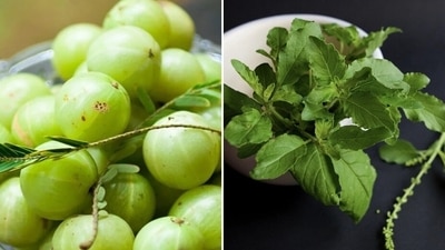 7 foods to consume in winter to avoid cold and cough 7 foods to consume in winter to avoid cold and cough