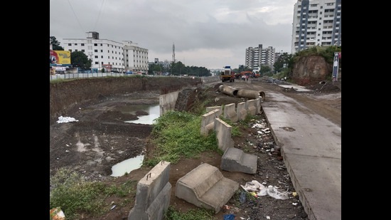 Deputy chief minister Devendra Fadnavis announced that the state government will bear 60% of the project cost. (HT PHOTO)