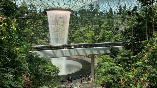 Singapore and its natural wonders, from rainforests to beaches and waterfalls (Addie)