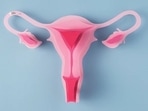 Pelvic infections, hormonal problems and even pregnancy complications can lead to development of ovarian cyst.(Freepik) Pelvic infections, hormonal problems and even pregnancy complications can lead to development of ovarian cyst.(Freepik)