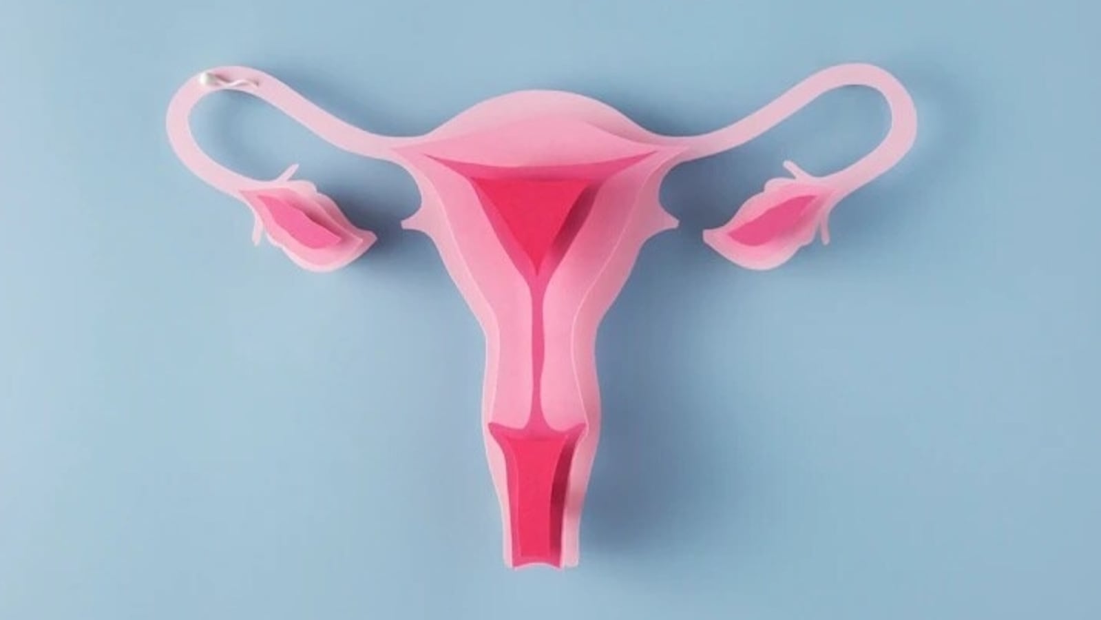 Ovarian cysts: Warning signs, causes, types, treatment and all you want to  know